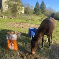 photo de livraison pour Espoir au Galop