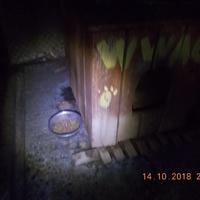 photo de livraison pour Pro Animals Finland ry