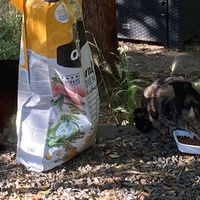 photo de livraison pour Ecole du Chat des Alpilles