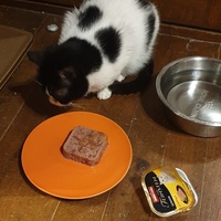 photo de livraison pour Cha'alors