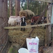 photo de livraison pour Ulyan