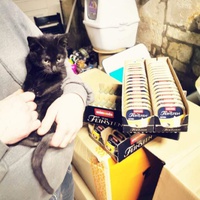 photo de livraison pour Les Chats Libres de Joinville