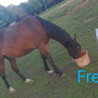 photo de livraison pour Arche et Relais