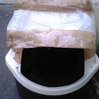 photo de livraison pour Chats du Lacydon