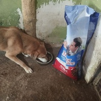 photo de livraison pour Sapa u srcu