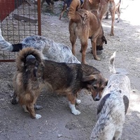 photo de livraison pour Svetlana Bjelogrlic