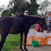 photo de livraison pour Association hippique du Caroux