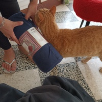 photo de livraison pour Ronron du Bonheur