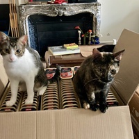 photo de livraison pour Association C.A.T.S. Chat Animal Terrien Solidarité