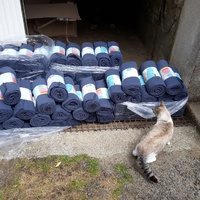 photo de livraison pour Ecole du Chat Libre de Caillerot