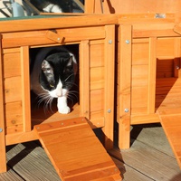 photo de livraison pour Ecole du Chat Libre de Caillerot