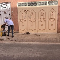 photo de livraison pour L'Arche de Noé