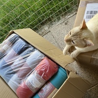 photo de livraison pour SADF (Sauvetage des animaux domestiques de France)