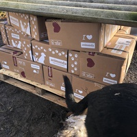 photo de livraison pour Espoir au Galop