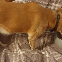 photo de livraison pour AVRAH