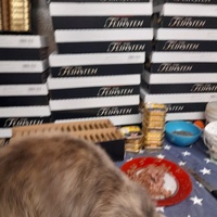 photo de livraison pour La Bleue