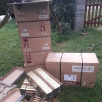 photo de livraison pour Chats Oubliés