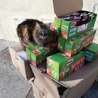 photo de livraison pour Ch'tatrap