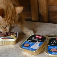 photo de livraison pour Jardin des Chats