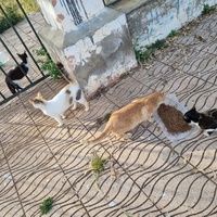 photo de livraison pour Kawthar Maree