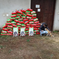 photo de livraison pour Beta Zajecar