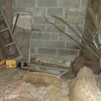 photo de livraison pour Une Truffe et des Pattes