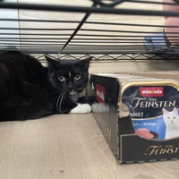 photo de livraison pour Les P’tits Bâtards
