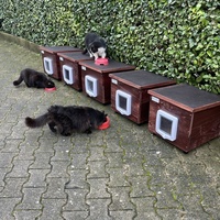 photo de livraison pour Les Chats Libres de Nimes Agglo