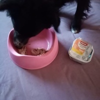 photo de livraison pour AVRAH