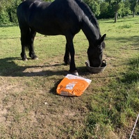 photo de livraison pour Espoir au Galop