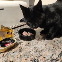 photo de livraison pour SALOME