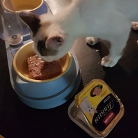 photo de livraison pour Des Cœurs pour les Pattes du 93