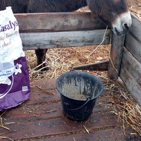 photo de livraison pour Equi-Libre : Droit à la Retraite Equine