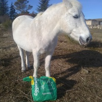 photo de livraison pour Equi-Libre : Droit à la Retraite Equine