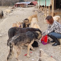 photo de livraison pour Happy Shelter Skopje