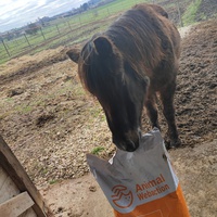 photo de livraison pour Refuge Cheval Nature En Aquitaine
