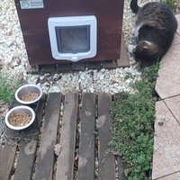 photo de livraison pour Aidons nos Molosses