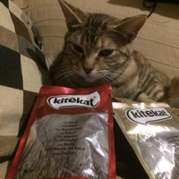 photo de livraison pour Les Chats Libres Condom 32