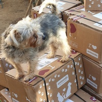 photo de livraison pour AVRAH