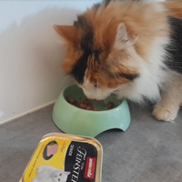 photo de livraison pour Les Amis d'Aramis
