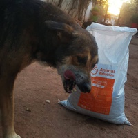 photo de livraison pour Help Adopt Moroccan Animals