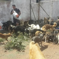 photo de livraison pour Association Mira Protection des Animaux et de l'Environnement