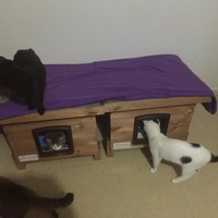 photo de livraison pour Pour l'Amour des Chats