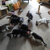 photo de livraison pour L'Arche de Ploum