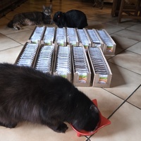 photo de livraison pour URGENCE AIDE ANIMAUX