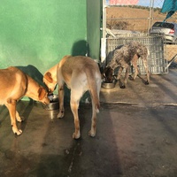 photo de livraison pour Huellas del Valle con Esperanza