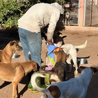 photo de livraison pour Le Coeur sur la Patte