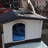 photo de livraison pour Chats Libres de Béziers