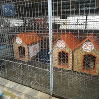 photo de livraison pour Refuge pour chiens de Baia Mare