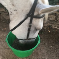photo de livraison pour Association hippique du Caroux